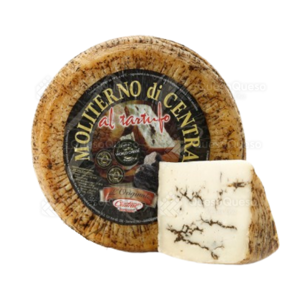 Moliterno Tartufo