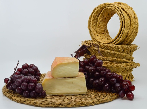 [QQ0072] Taleggio DOP